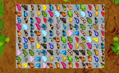 Butterfly Kyodai