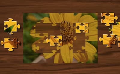 Jigsaw Puzzle Game
