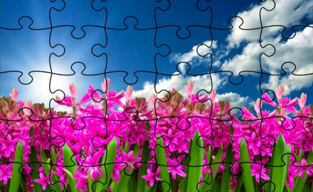 Jigsaw Puzzle - Flowers