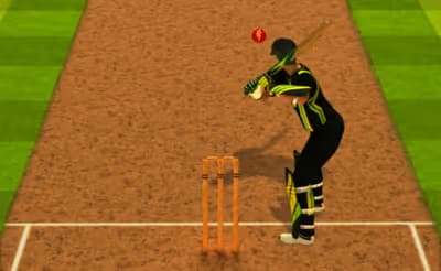 Cricket Batter Challenge