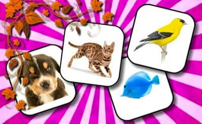 Animals Memory Game