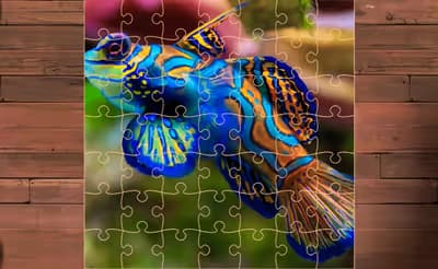 Exotic Sea Animals Jigsaw