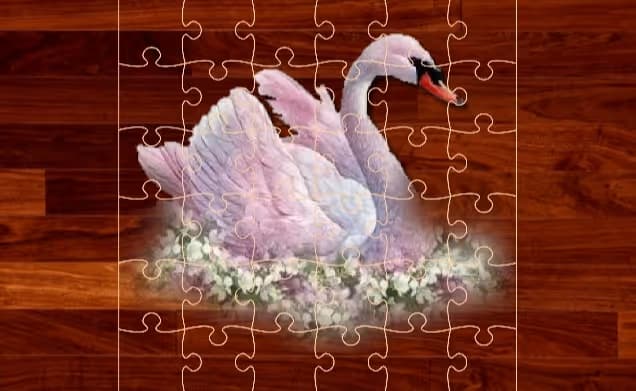 Love Birds Puzzle