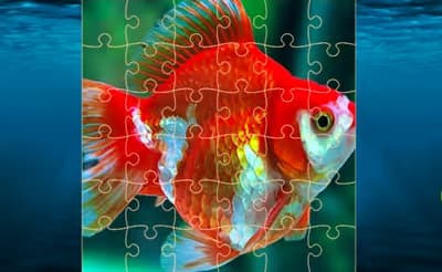 Gold Fish Jigsaw Puzzles