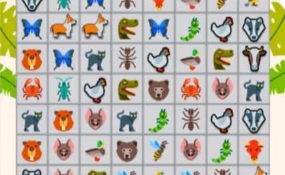Onet Animals