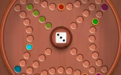 FG Ludo