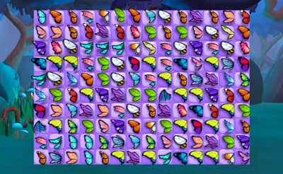 Butterfly Shimai