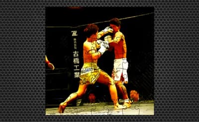 Fighting Match Jigsaw