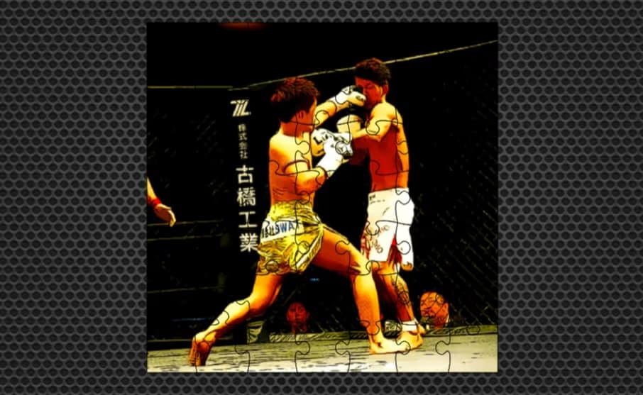 Fighting Match Jigsaw