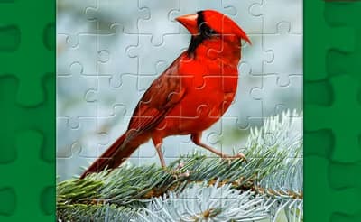 Birds Puzzle