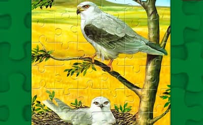 Birds of Prey Puzzle
