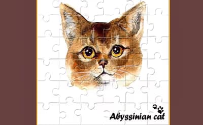 Abyssinian Puzzle Challenge