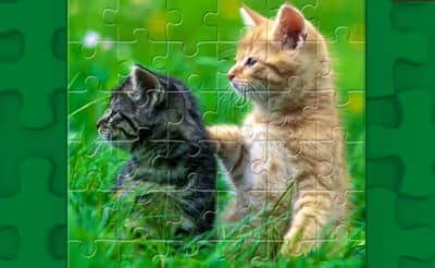 Funny Kitty Puzzle