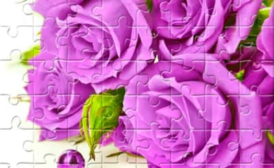 Purple Roses Puzzle
