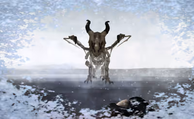 Dragon Slayer FPS