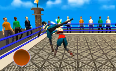Women Wrestling Fight Revolution